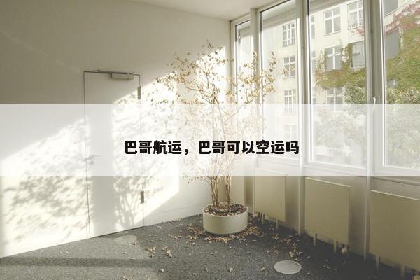 巴哥航运，巴哥可以空运吗