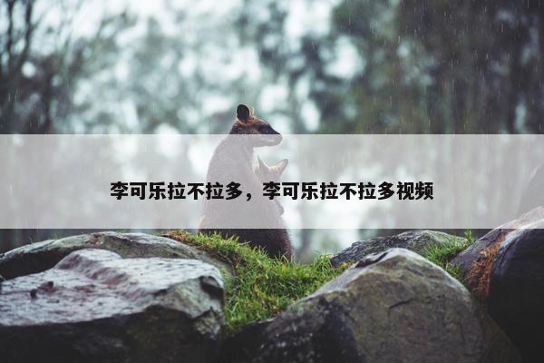 李可乐拉不拉多，李可乐拉不拉多视频