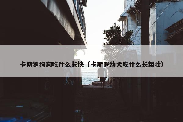 卡斯罗狗狗吃什么长快（卡斯罗幼犬吃什么长粗壮）