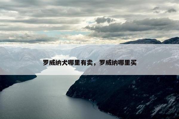 罗威纳犬哪里有卖，罗威纳哪里买