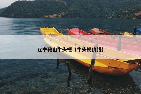 辽宁鞍山牛头梗（牛头梗价钱）