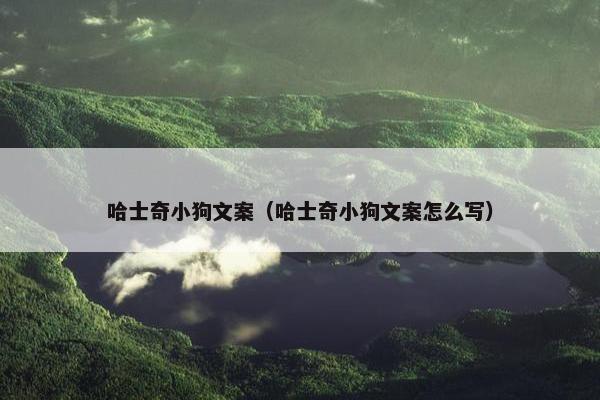 哈士奇小狗文案（哈士奇小狗文案怎么写）