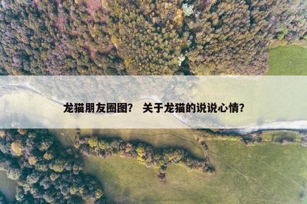 龙猫朋友圈图？ 关于龙猫的说说心情？