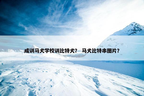 成训马犬学校训比特犬？ 马犬比特串图片？