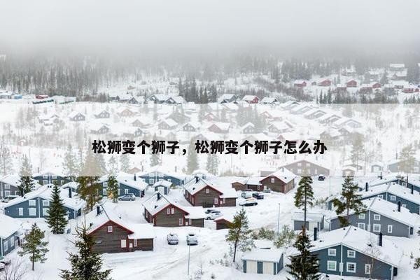 松狮变个狮子，松狮变个狮子怎么办