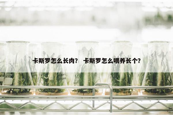 卡斯罗怎么长肉？ 卡斯罗怎么喂养长个？