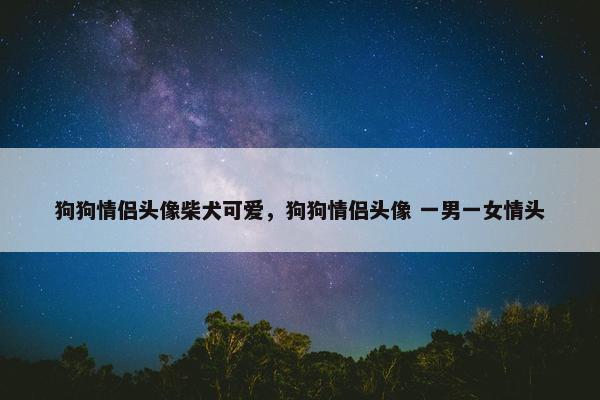 狗狗情侣头像柴犬可爱，狗狗情侣头像 一男一女情头