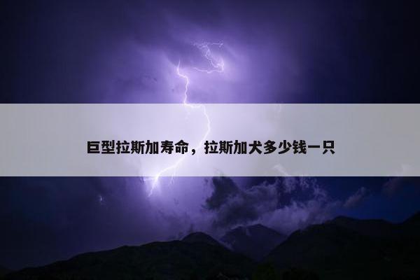 巨型拉斯加寿命，拉斯加犬多少钱一只