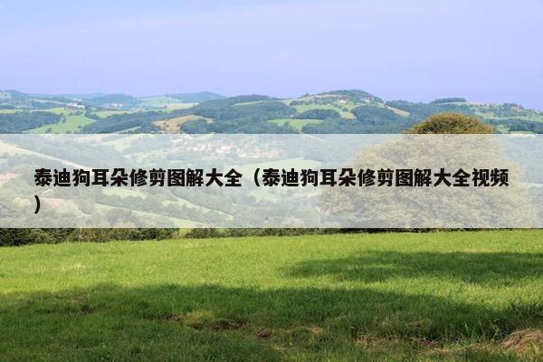 泰迪狗耳朵修剪图解大全（泰迪狗耳朵修剪图解大全视频）