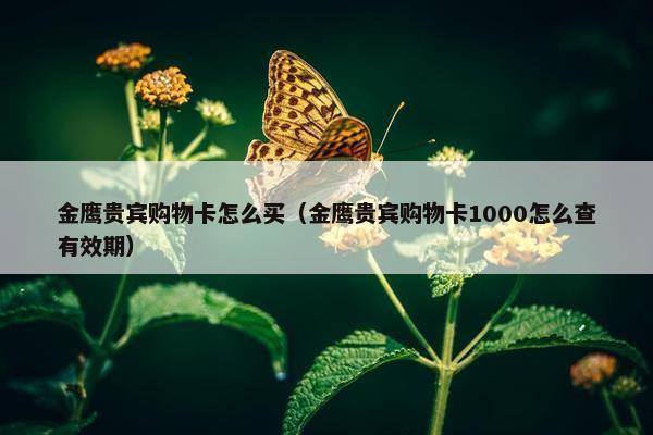 金鹰贵宾购物卡怎么买（金鹰贵宾购物卡1000怎么查有效期）