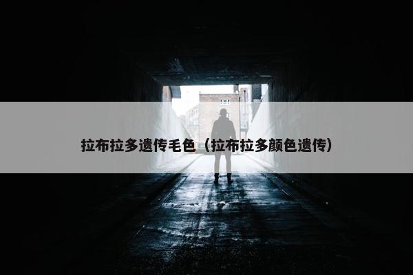 拉布拉多遗传毛色（拉布拉多颜色遗传）