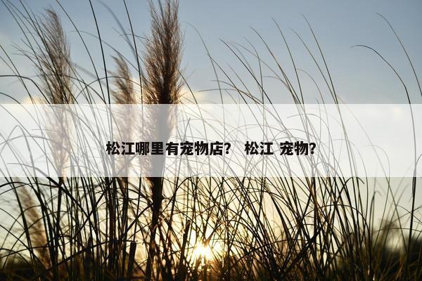 松江哪里有宠物店？ 松江 宠物？