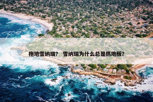 拖地雪纳瑞？ 雪纳瑞为什么总是抓地板？