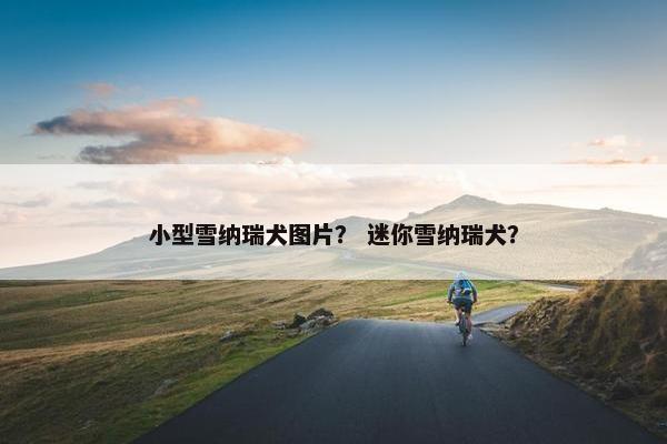 小型雪纳瑞犬图片？ 迷你雪纳瑞犬？