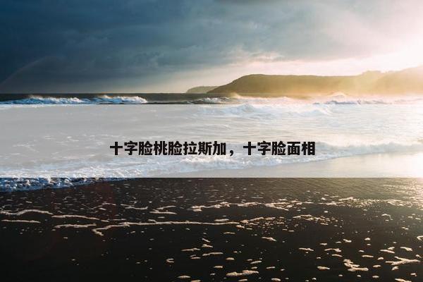 十字脸桃脸拉斯加，十字脸面相