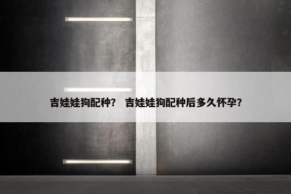 吉娃娃狗配种？ 吉娃娃狗配种后多久怀孕？