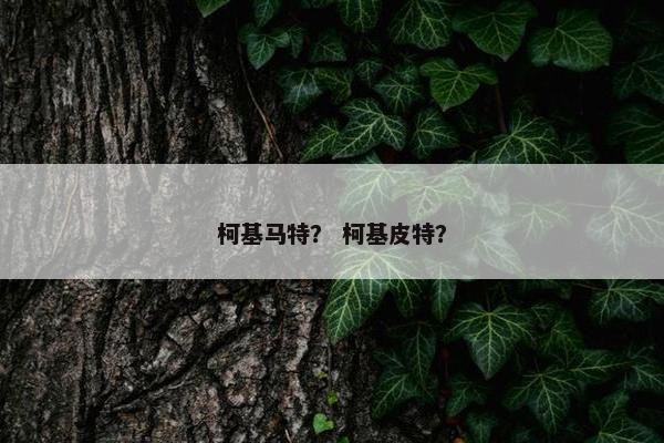 柯基马特？ 柯基皮特？