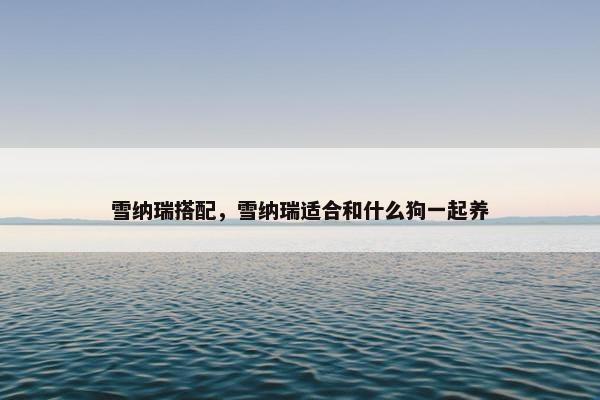 雪纳瑞搭配，雪纳瑞适合和什么狗一起养