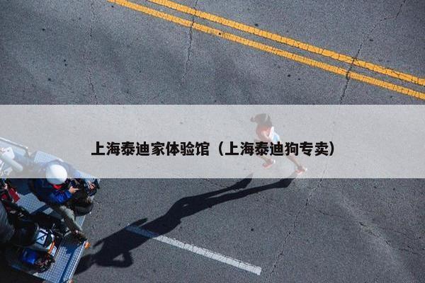 上海泰迪家体验馆（上海泰迪狗专卖）