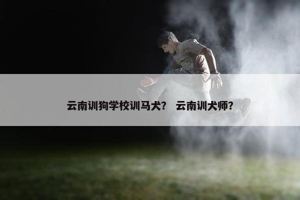 云南训狗学校训马犬？ 云南训犬师？