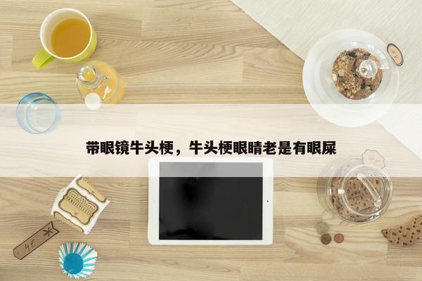 带眼镜牛头梗，牛头梗眼睛老是有眼屎