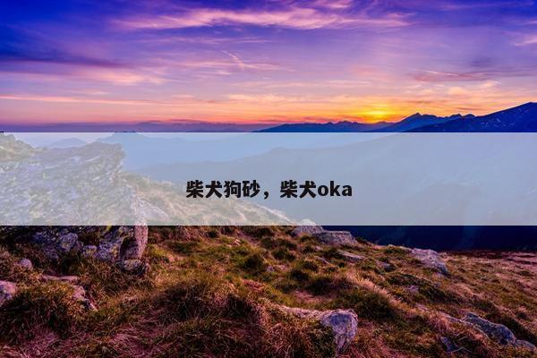 柴犬狗砂，柴犬oka