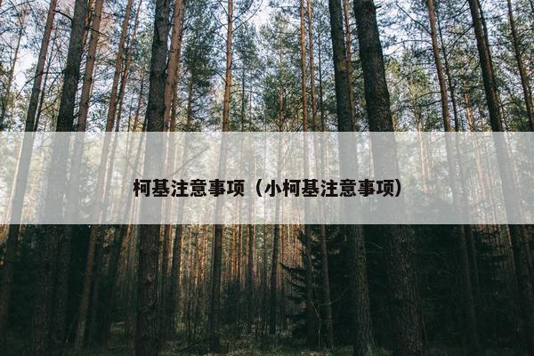 柯基注意事项（小柯基注意事项）