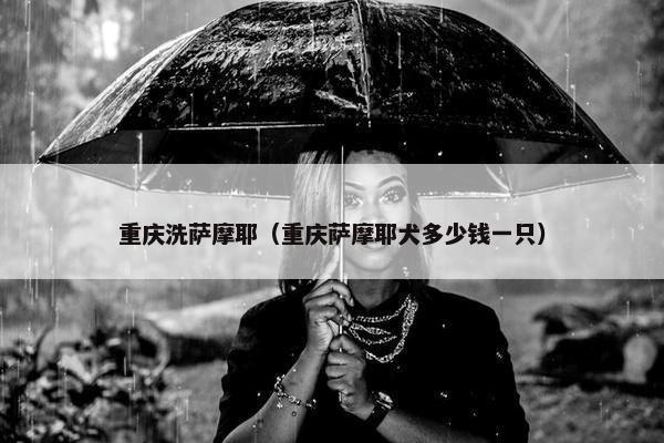 重庆洗萨摩耶（重庆萨摩耶犬多少钱一只）