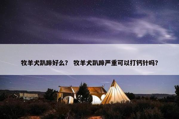 牧羊犬趴蹄好么？ 牧羊犬趴蹄严重可以打钙针吗？