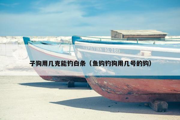 子狗用几克能钓白条（鱼钩钓狗用几号的钩）