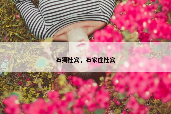 石狮杜宾，石家庄杜宾