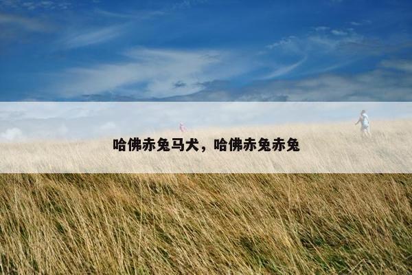 哈佛赤兔马犬，哈佛赤兔赤兔