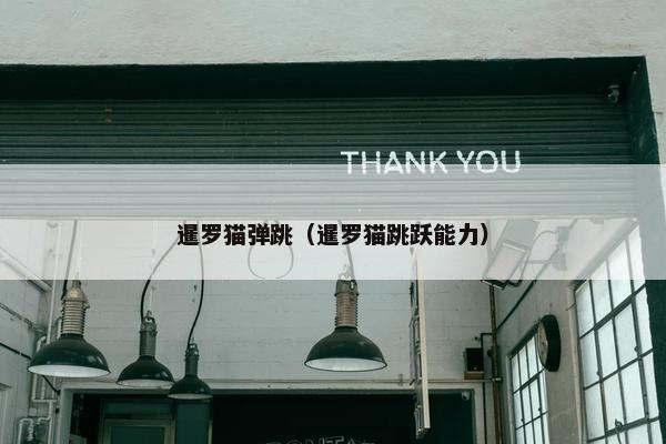 暹罗猫弹跳（暹罗猫跳跃能力）