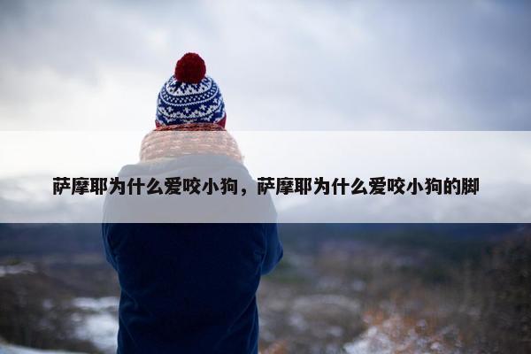 萨摩耶为什么爱咬小狗，萨摩耶为什么爱咬小狗的脚