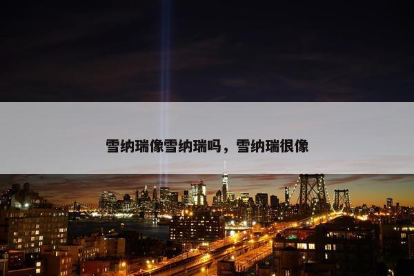 雪纳瑞像雪纳瑞吗，雪纳瑞很像