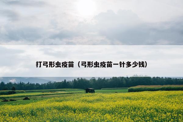 打弓形虫疫苗（弓形虫疫苗一针多少钱）