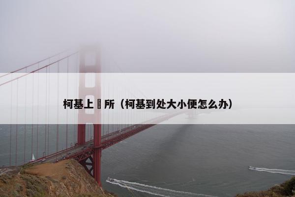 柯基上廁所（柯基到处大小便怎么办）