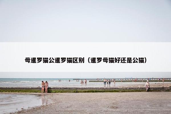 母暹罗猫公暹罗猫区别（暹罗母猫好还是公猫）