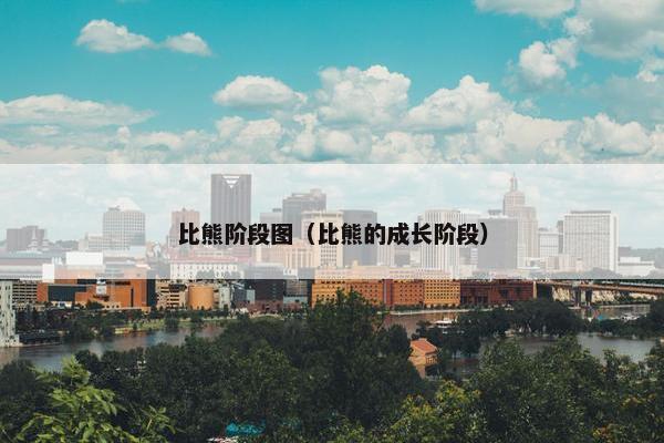 比熊阶段图（比熊的成长阶段）