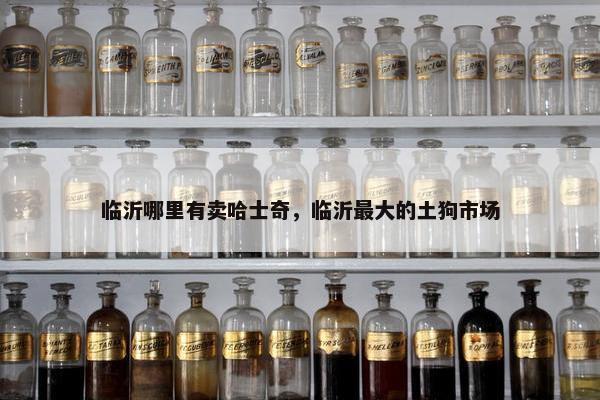 临沂哪里有卖哈士奇，临沂最大的土狗市场