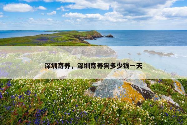 深圳寄养，深圳寄养狗多少钱一天