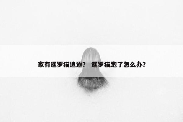 家有暹罗猫追逐？ 暹罗猫跑了怎么办？