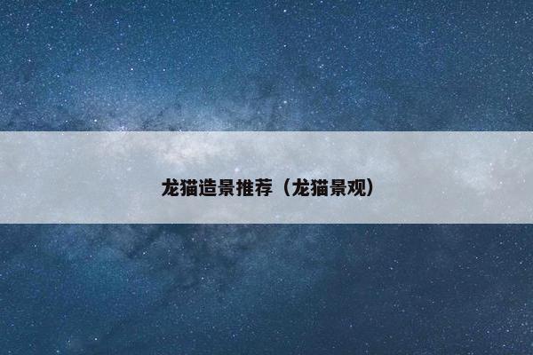 龙猫造景推荐（龙猫景观）