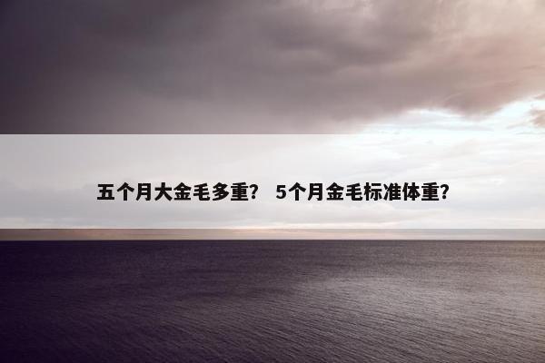 五个月大金毛多重？ 5个月金毛标准体重？