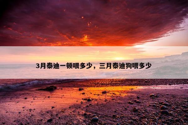 3月泰迪一顿喂多少，三月泰迪狗喂多少