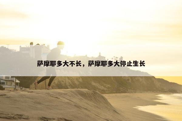 萨摩耶多大不长，萨摩耶多大停止生长