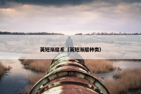 英短渐层系（英短渐层种类）
