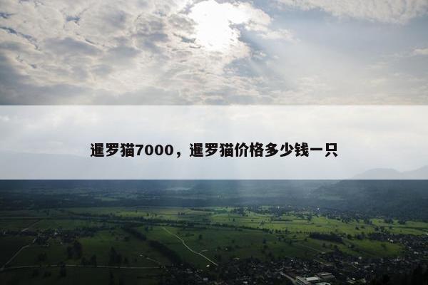 暹罗猫7000，暹罗猫价格多少钱一只