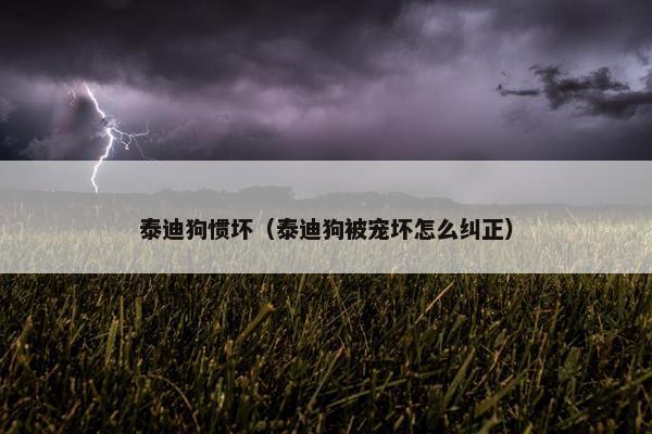 泰迪狗惯坏（泰迪狗被宠坏怎么纠正）