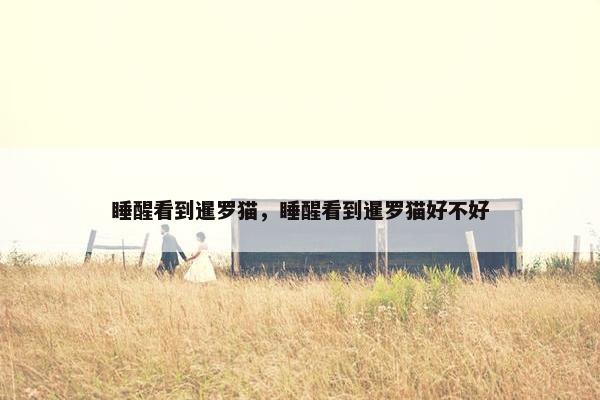 睡醒看到暹罗猫，睡醒看到暹罗猫好不好